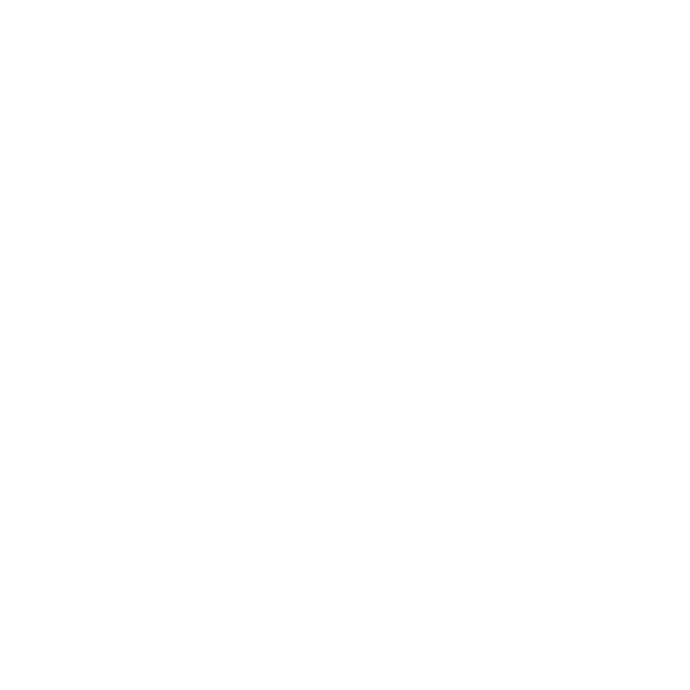 Business Brainz Logo