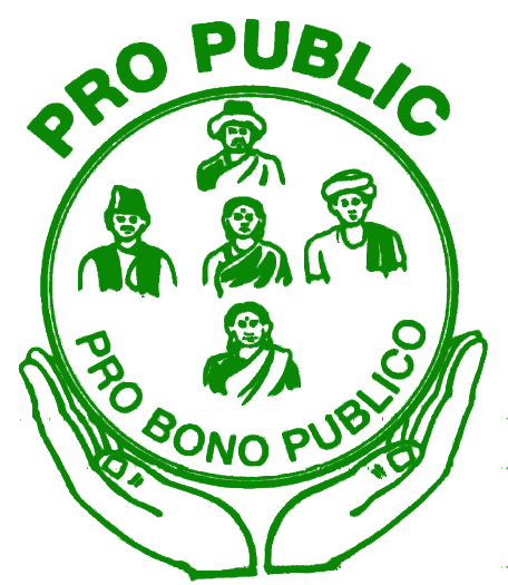 Pro Public Logo