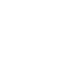 Society of Nepalese Architects Logo