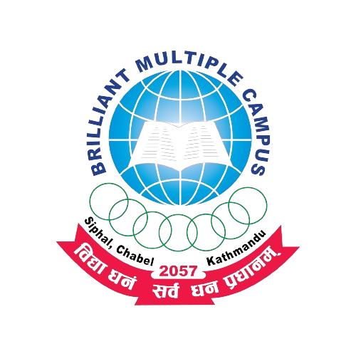 BRILLIANT SCHOOL / COLLEGE Logo
