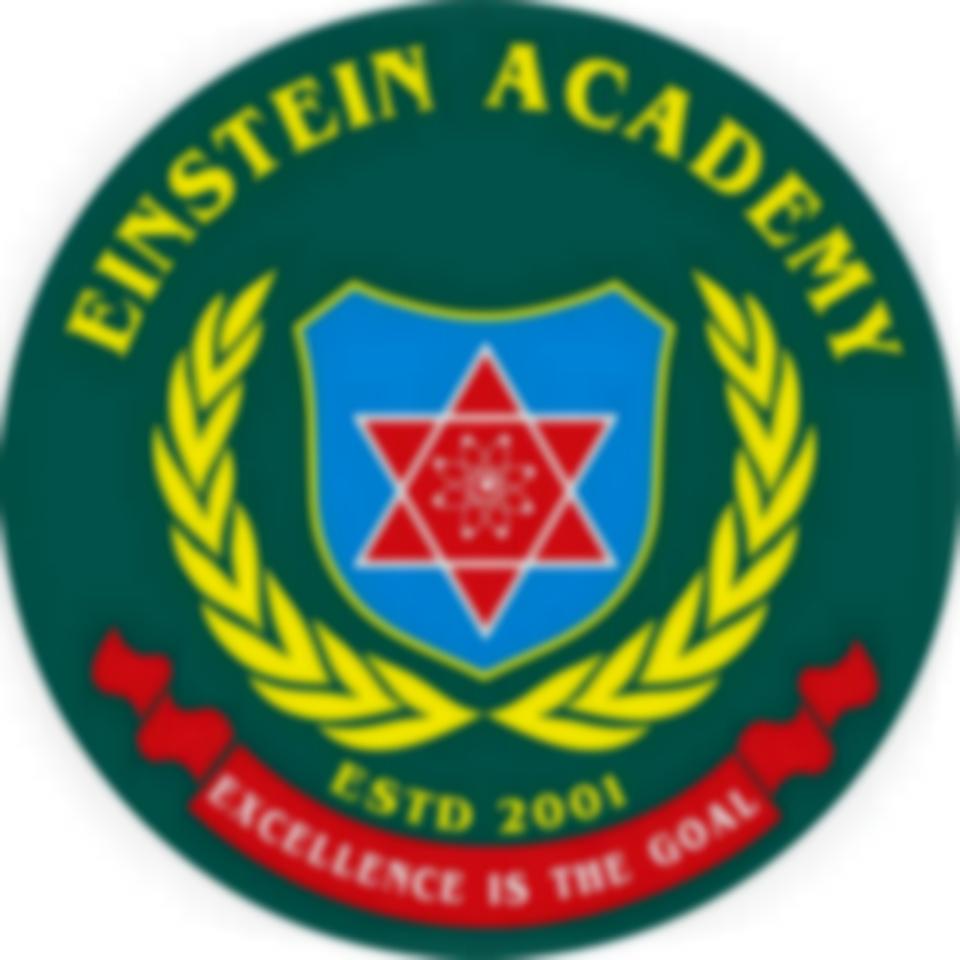 EINSTEIN ACADEMY Logo