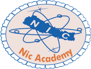 Nic Academy Logo