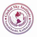 Globalsky Institute PVT Limited